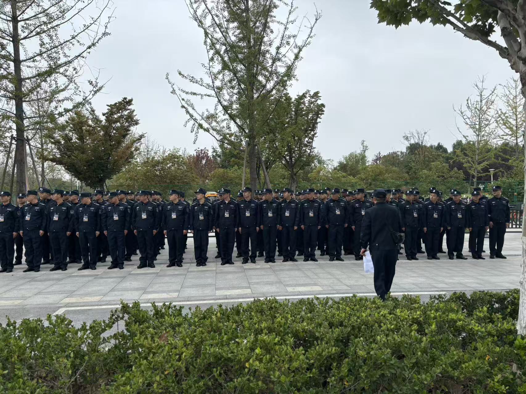 mmexport1759020659926.jpg mmexport1759020659926.jpg